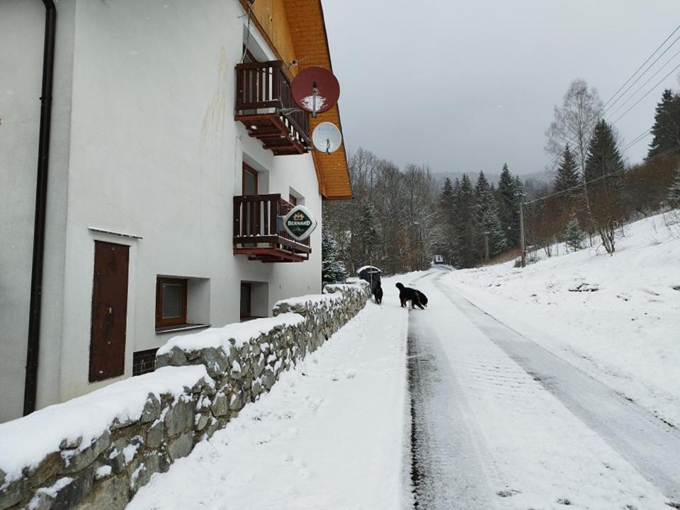 Penzion Zazrifka Zázrivá Exteriör bild
