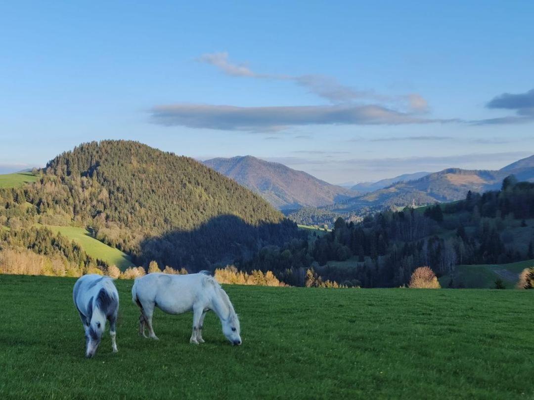 Penzion Zazrifka Zázrivá Exteriör bild