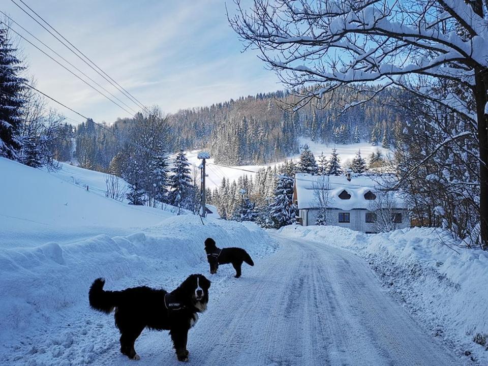 Penzion Zazrifka Zázrivá Exteriör bild